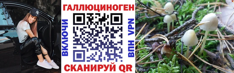 Псилоцибиновые грибы Psilocybe  хочу   Грязовец 