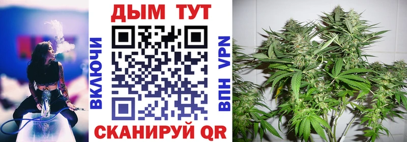Конопля AK-47 Грязовец